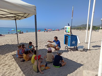 Activitat ambiental: Tortugues marines.