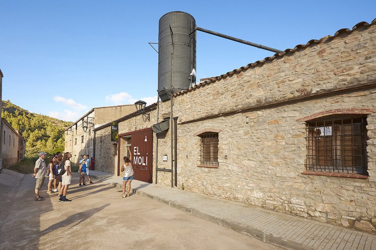 Molí de Vandellòs
